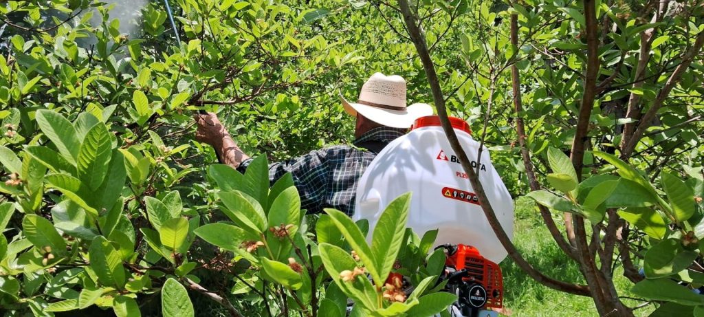 Potencia tu trabajo agrícola con una fumigadora de 2 tiempos