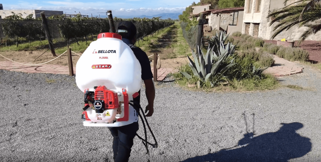 VIDEO BELLOTA