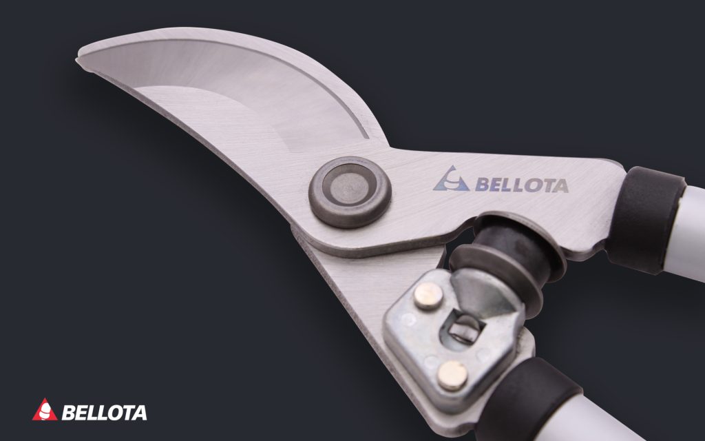 Tijeras bellota